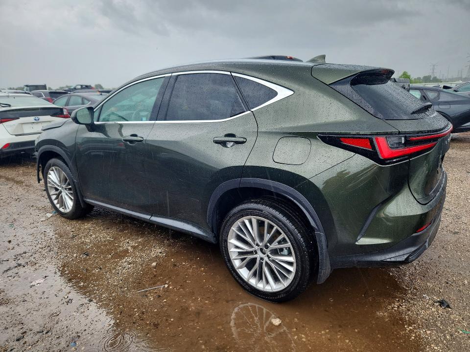 Продажа на аукционе авто 2025 Lexus Nx, vin: 2T2GGCEZXSC088806, номер лота: 62637366