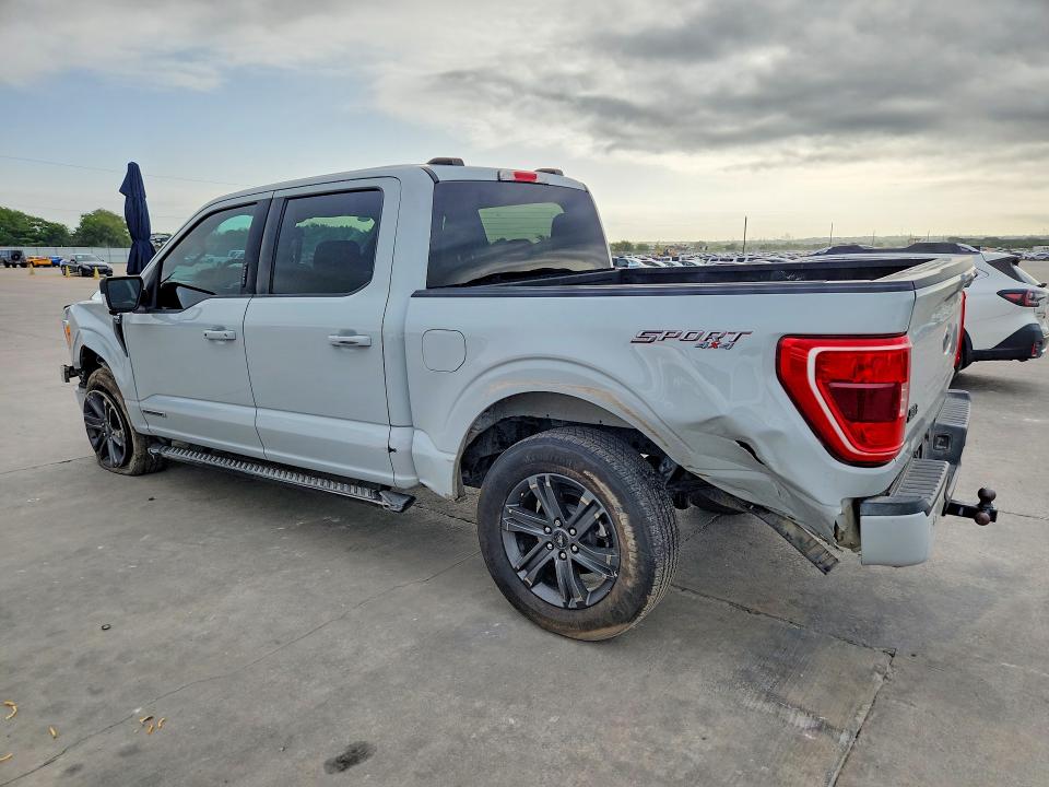 Продаж на аукціоні авто 2023 Ford F150, vin: 1FTFW1ED4PFD05275, номер лоту: 61081816