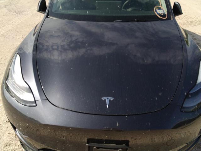 Продаж на аукціоні авто 2024 Tesla Model Y, vin: 7SAYGDEE9RA234291, номер лоту: 59603826