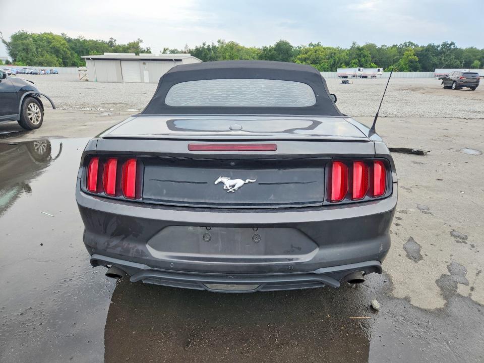 62241626 :رقم المزاد ، 1FATP8UH6K5151573 vin ، 2019 Ford Mustang مزاد بيع