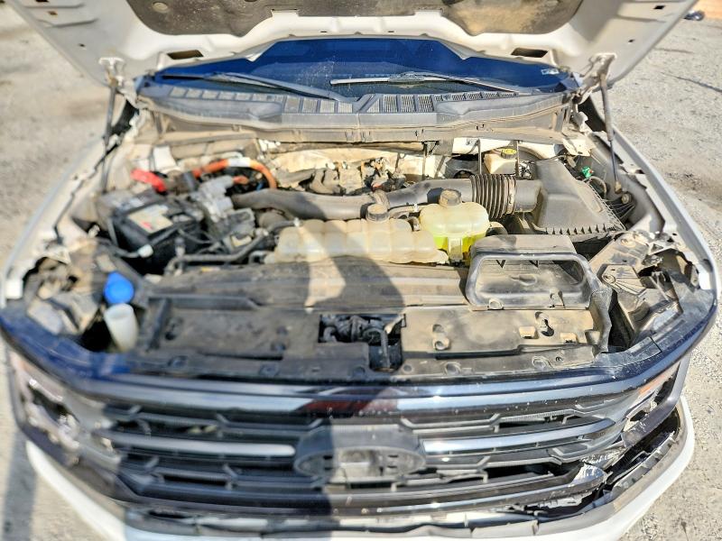 Aukcja sprzedaży 2024 Ford F150, vin: 1FTFW3LD9RFA49748, numer aukcji: 59297546