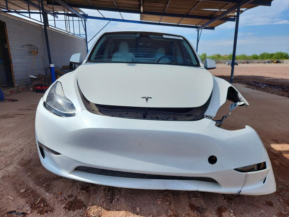 Продаж на аукціоні авто 2023 Tesla Model Y, vin: 7SAYGDEFXPF712887, номер лоту: 61617616