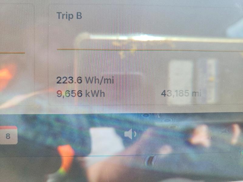 Aukcja sprzedaży 2023 Tesla Model 3, vin: 5YJ3E1EA3PF561956, numer aukcji: 60382706