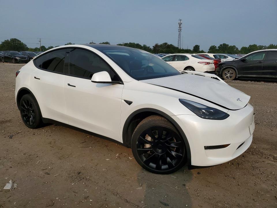 Продажа на аукционе авто 2024 Tesla Model Y, vin: 7SAYGDEE1RA280567, номер лота: 61477646