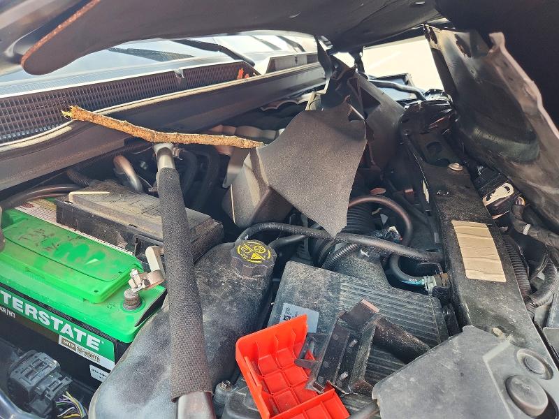 Продаж на аукціоні авто 2019 Cadillac Escalade, vin: 1GYS4JKJ3KR280241, номер лоту: 62335046