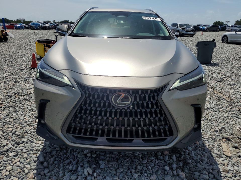2025 Lexus Nx 250 მანქანა იყიდება აუქციონზე, vin: 2T2ADCAZ9SC030108, აუქციონის ნომერი: 62221876