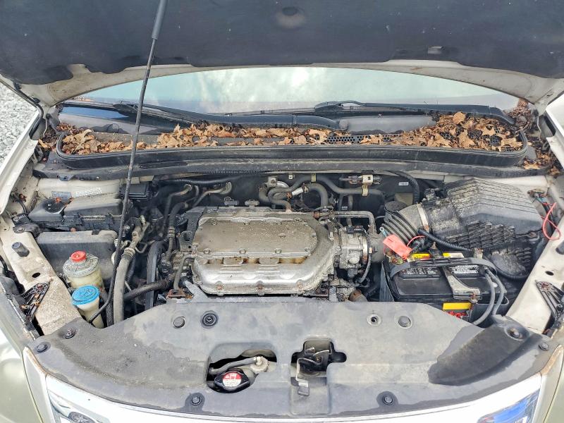 2008 Honda Odyssey მანქანა იყიდება აუქციონზე, vin: 5FNRL38978B004062, აუქციონის ნომერი: 60670476