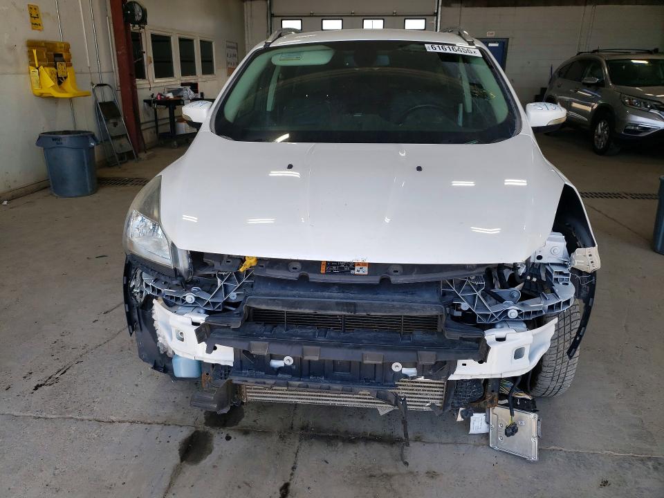 Продаж на аукціоні авто 2014 Ford Escape, vin: 1FMCU9J9XEUE53069, номер лоту: 61616456