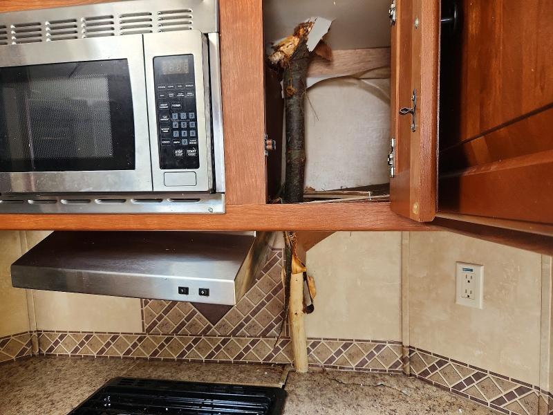 Продаж на аукціоні авто 2011 Cruiser Rv Viewfinder, vin: 5RXTC2427B1020879, номер лоту: 62434826