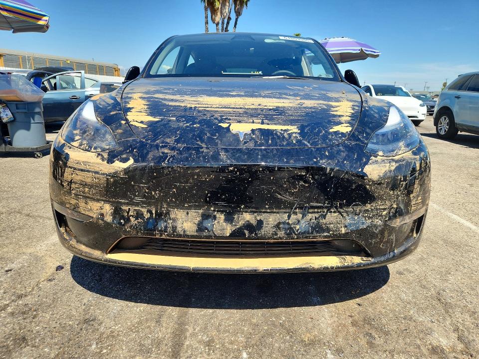 Aukcja sprzedaży 2024 Tesla Model Y, vin: 7SAYGAEE7RF983401, numer aukcji: 61809946