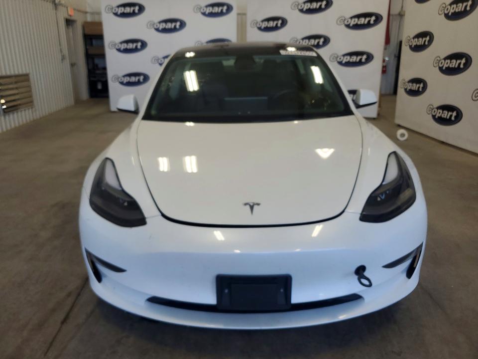 59342206 :رقم المزاد ، 5YJ3E1EA9PF448822 vin ، 2023 Tesla Model 3 مزاد بيع