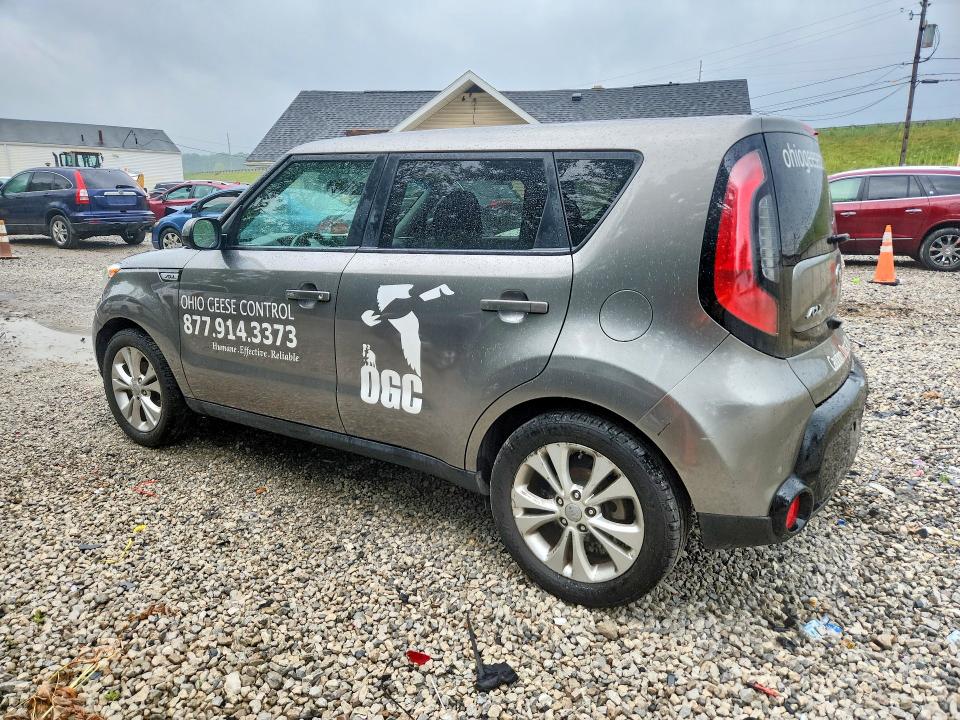 61187266 :رقم المزاد ، KNDJP3A58G7339389 vin ، 2016 Kia Soul مزاد بيع
