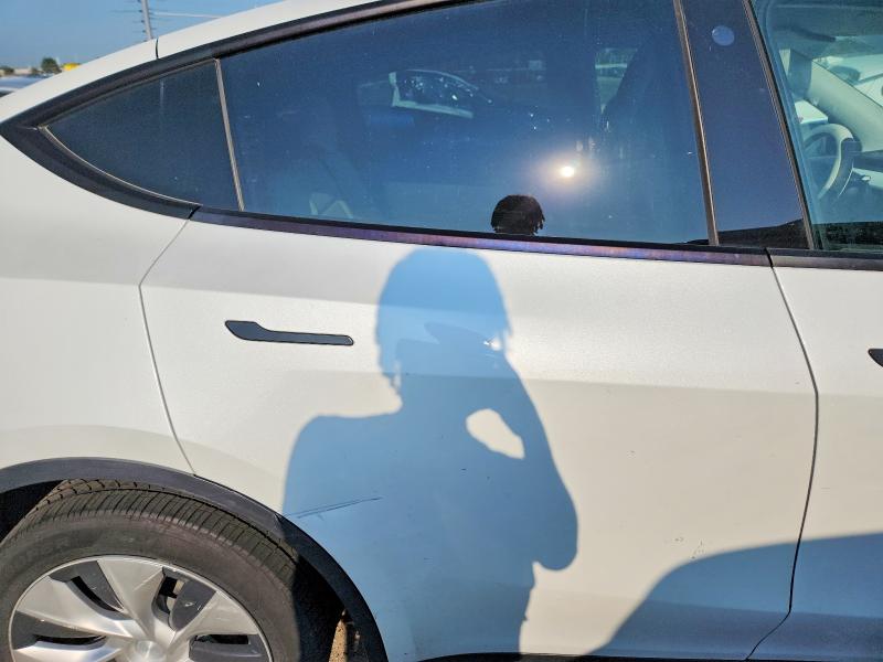 Aukcja sprzedaży 2021 Tesla Model Y, vin: 5YJYGDEE5MF130566, numer aukcji: 60674906