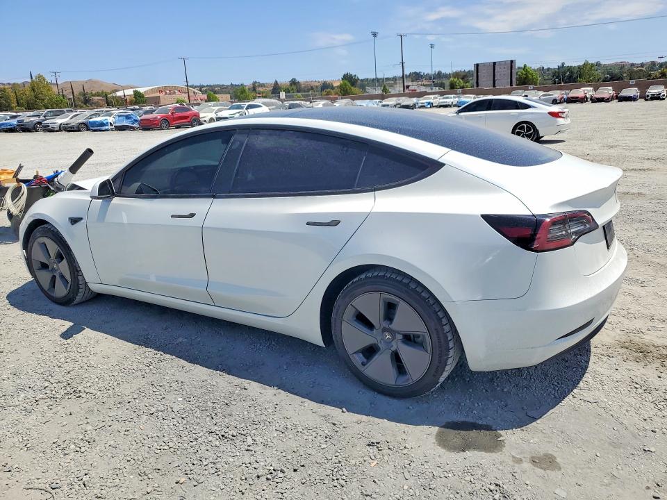 61907836 :رقم المزاد ، 5YJ3E1EA9PF404920 vin ، 2023 Tesla Model 3 مزاد بيع