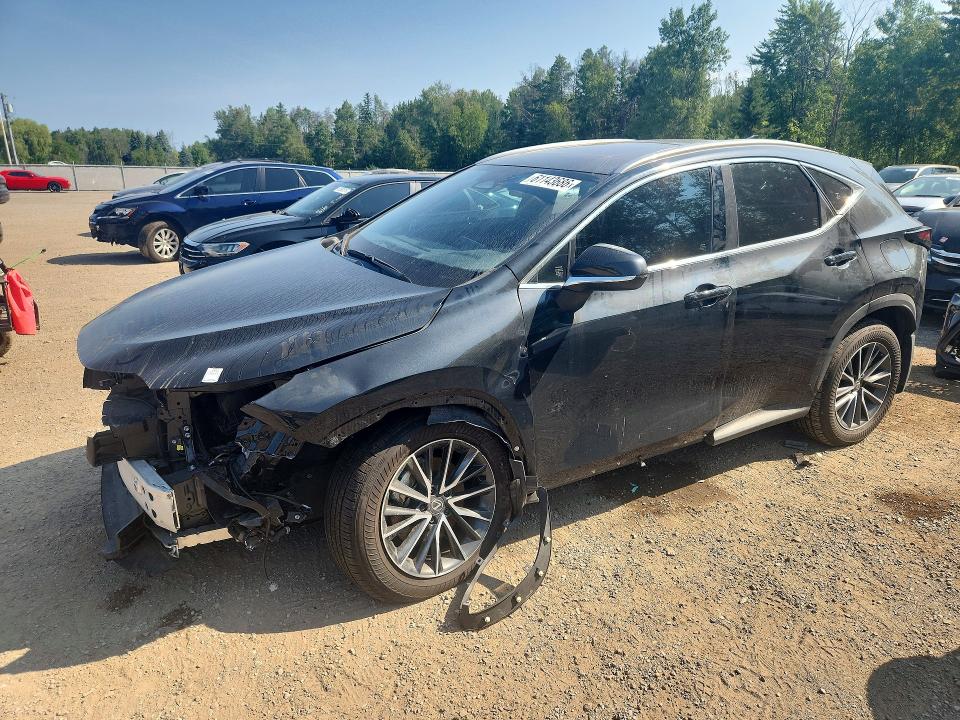 Продажа на аукционе авто 2026 Lexus Nx, vin: JTJHKCFZXT2081907, номер лота: 61143686