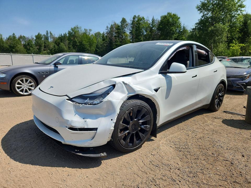 Продажа на аукционе авто 2023 Tesla Model Y, vin: 7SAYGDEE2PF586578, номер лота: 59093626