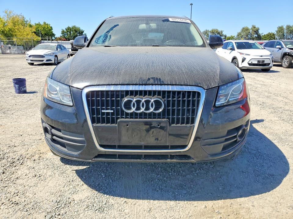 Продаж на аукціоні авто 2010 Audi Q5, vin: WA1LKAFP0AA079208, номер лоту: 60514436