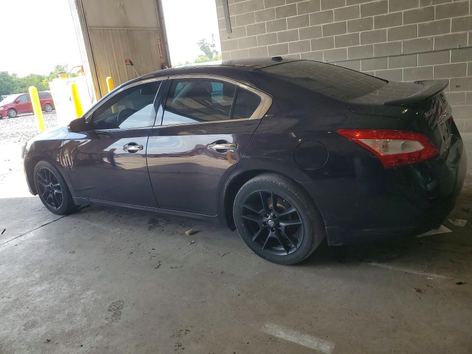 Продаж на аукціоні авто 2011 Nissan Maxima, vin: 1N4AA5APXBC851000, номер лоту: 61209386