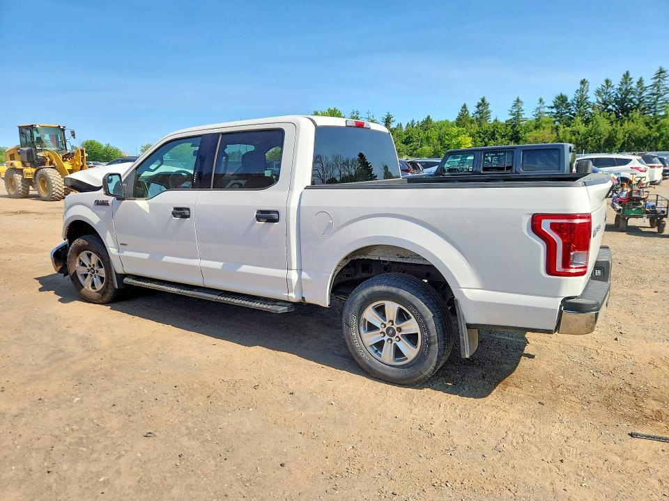 Продаж на аукціоні авто 2017 Ford F150, vin: 1FTEW1EG9HFB92852, номер лоту: 59134006