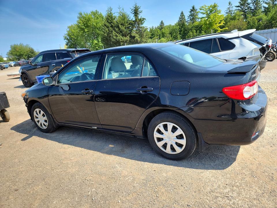 61873056 :رقم المزاد ، 2T1BU4EE3DC016343 vin ، 2013 Toyota Corolla مزاد بيع