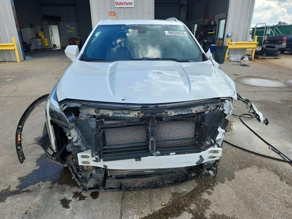 Auction sale of the 2019 Cadillac Xt4, vin: 1GYFZCR48KF117830, lot number: 60228256