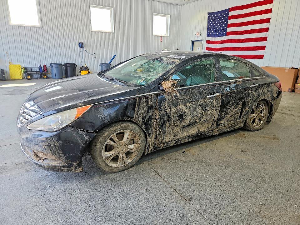 2011 Hyundai Sonata მანქანა იყიდება აუქციონზე, vin: 5NPEC4AB4BH302806, აუქციონის ნომერი: 60640016