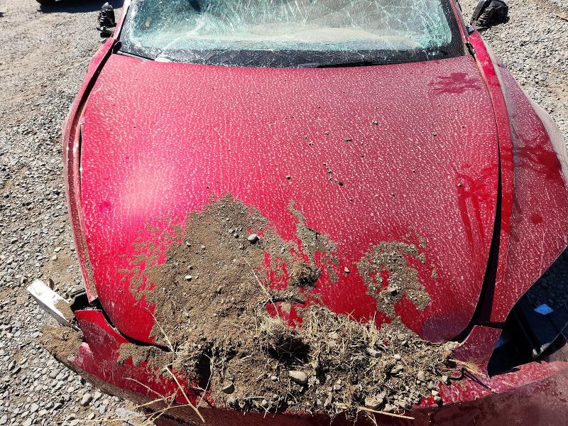 63514416 :رقم المزاد ، 5YJ3E1EB2RF811988 vin ، 2024 Tesla Model 3 مزاد بيع