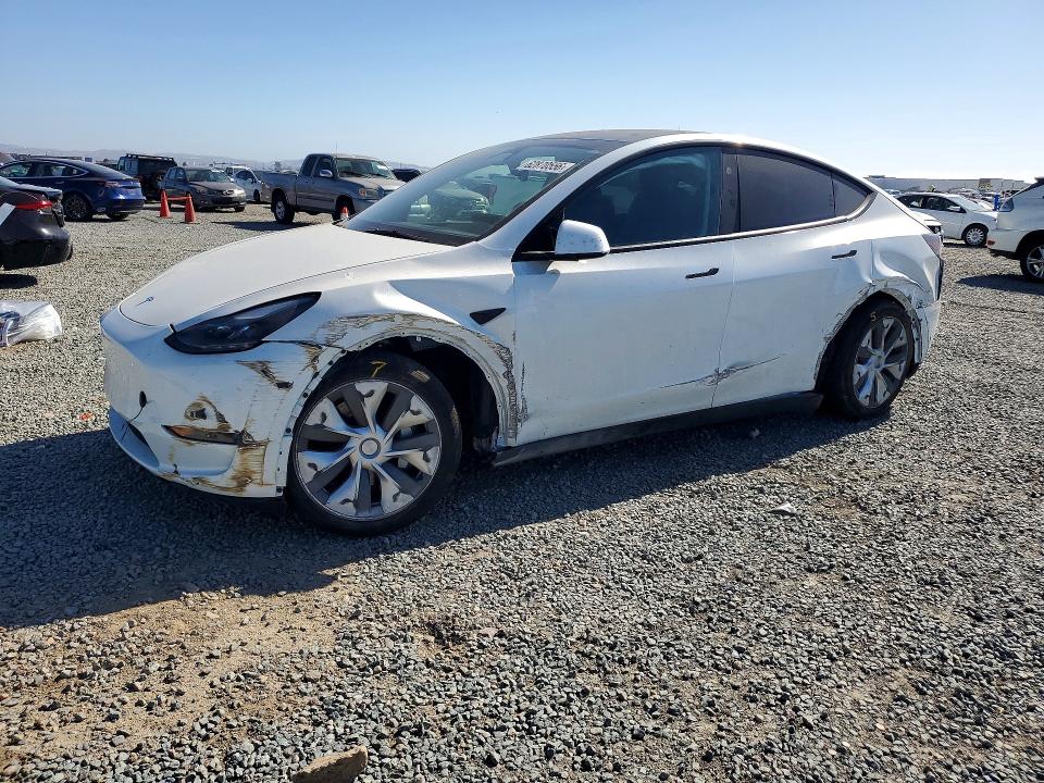 Aukcja sprzedaży 2024 Tesla Model Y, vin: 7SAYGDED2RF088276, numer aukcji: 62870556