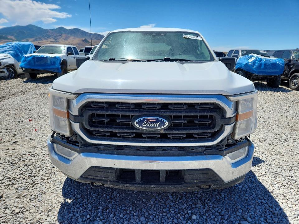 61745616 :رقم المزاد ، 1FTFW1E81MFB32393 vin ، 2021 Ford F150 مزاد بيع