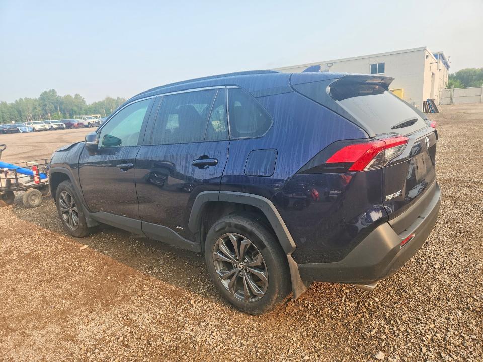 60997836 :رقم المزاد ، 2T3RWRFV2SW282296 vin ، 2025 Toyota Rav4 Hybrid مزاد بيع