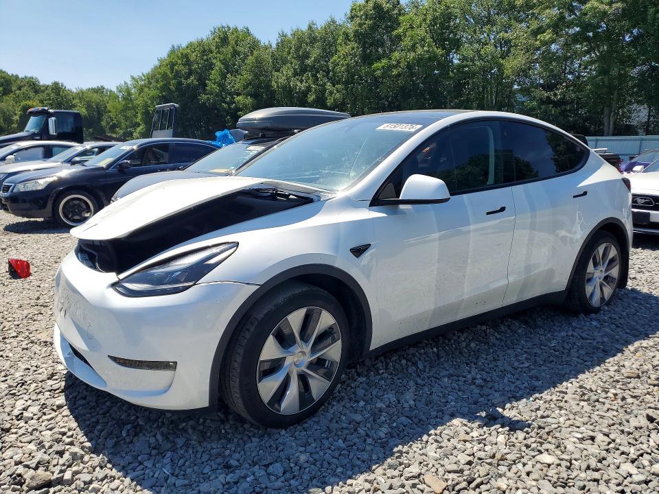 Aukcja sprzedaży 2023 Tesla Model Y, vin: 7SAYGAEE7PF778223, numer aukcji: 61501376