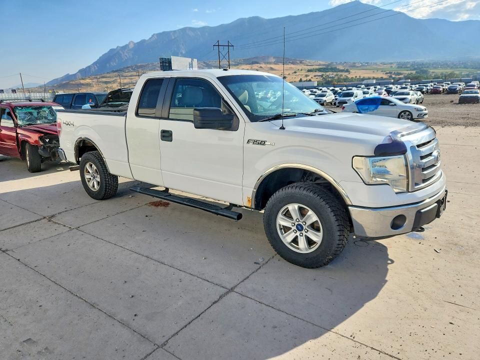 2010 Ford F150 მანქანა იყიდება აუქციონზე, vin: 1FTEX1E84AFC58199, აუქციონის ნომერი: 63450476