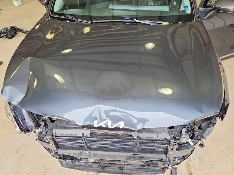 Продажа на аукционе авто 2024 Kia Sportage, vin: KNDPU3DF3R7244622, номер лота: 60212896