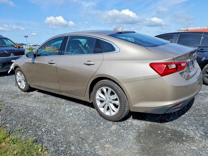 Продаж на аукціоні авто 2024 Chevrolet Malibu, vin: 1G1ZD5ST4RF116322, номер лоту: 59404416