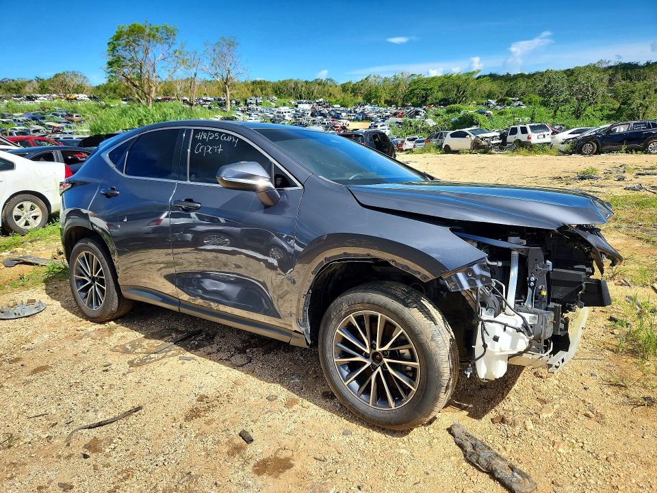 Auction sale of the 2024 Lexus Nx, vin: JTJGDCAZ8R2010534, lot number: 61400216