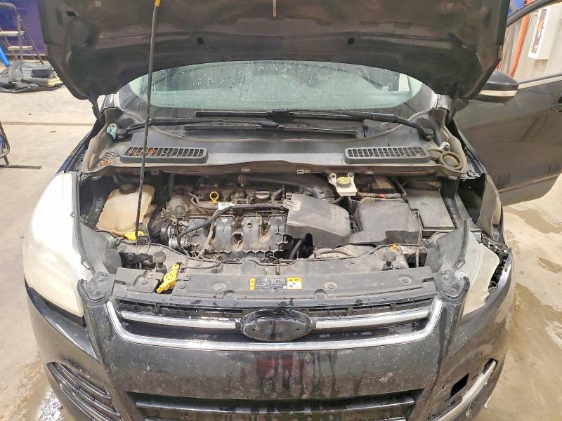 Aukcja sprzedaży 2014 Ford Escape, vin: 1FMCU9J91EUA23740, numer aukcji: 62039216