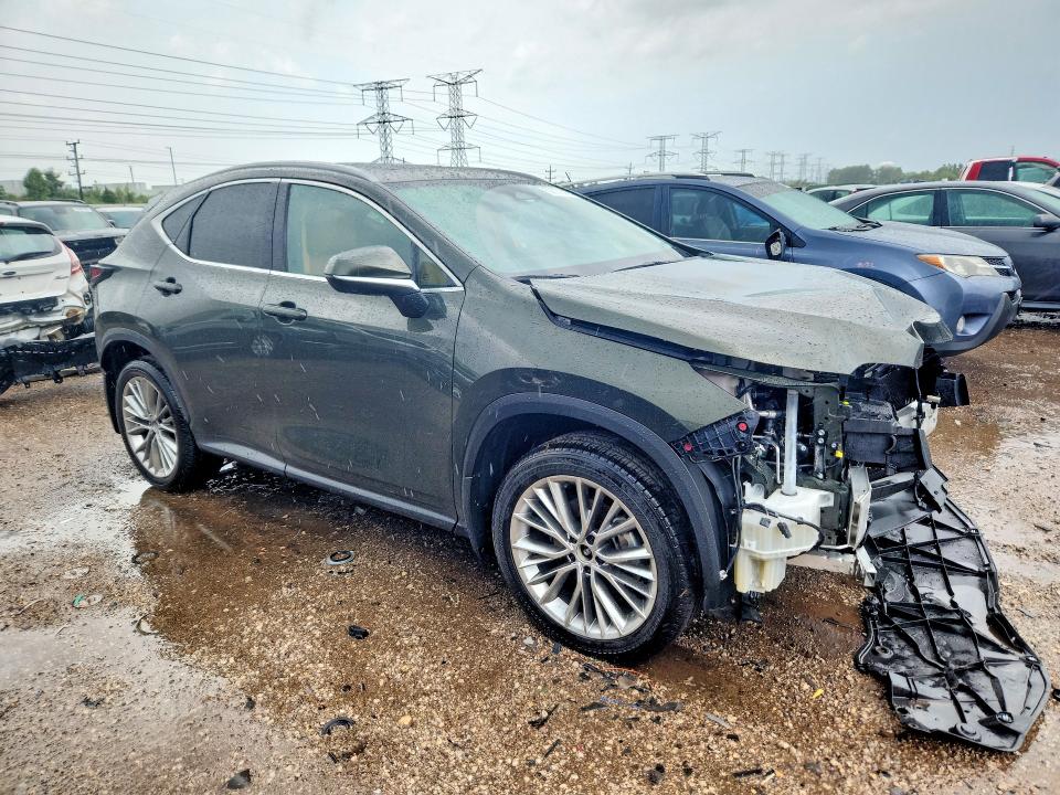 Продажа на аукционе авто 2025 Lexus Nx, vin: 2T2GGCEZXSC088806, номер лота: 62637366