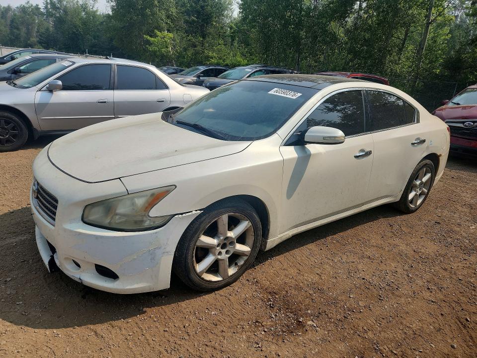 60590376 :رقم المزاد ، 1N4AA5AP4AC851069 vin ، 2010 Nissan Maxima مزاد بيع