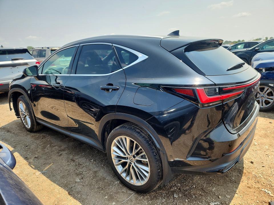 2025 Lexus Nx 350h მანქანა იყიდება აუქციონზე, vin: 2T2HKCEZ4SC053598, აუქციონის ნომერი: 62398746