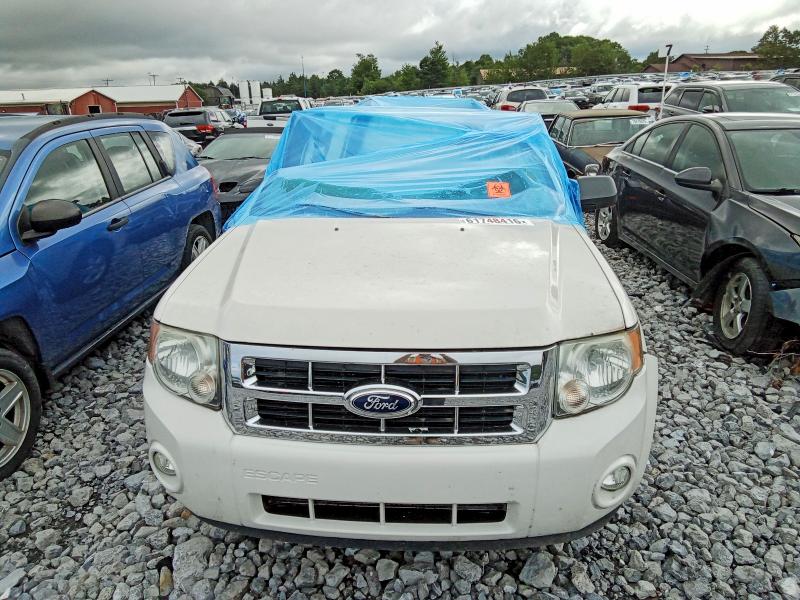 Aukcja sprzedaży 2011 Ford Escape, vin: 1FMCU9DG7BKB44645, numer aukcji: 61748416