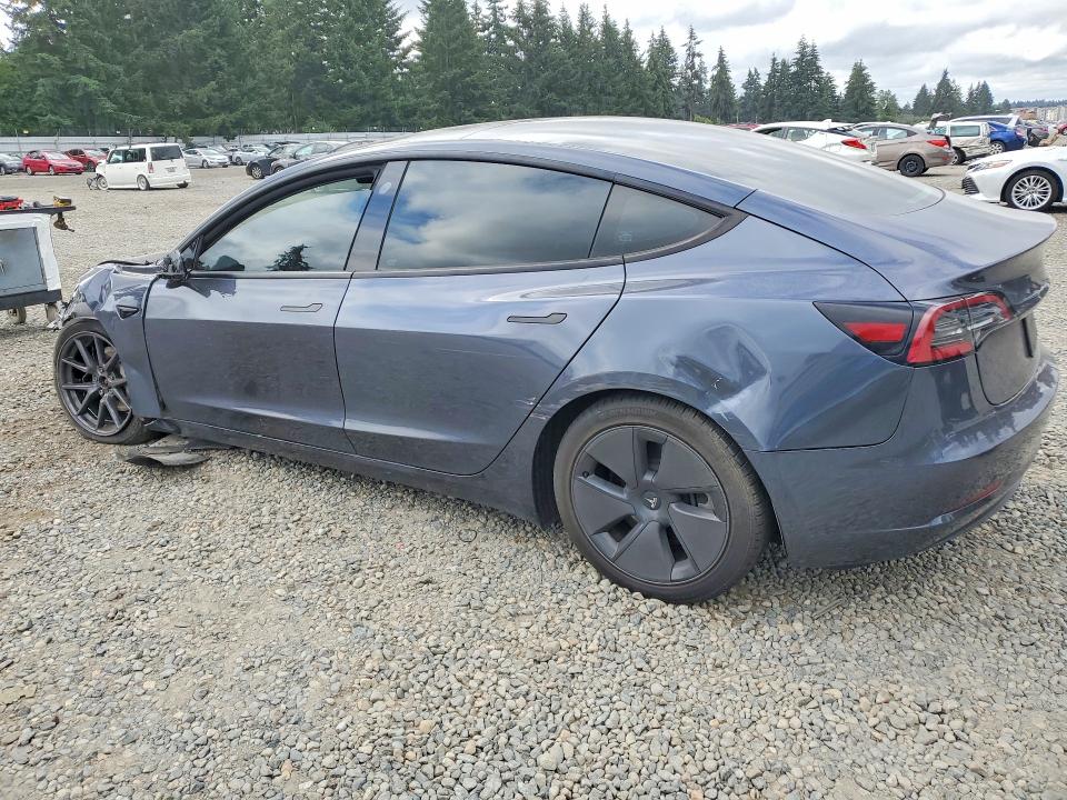 Продажа на аукционе авто 2023 Tesla Model 3, vin: 5YJ3E1EB8PF703517, номер лота: 59189696