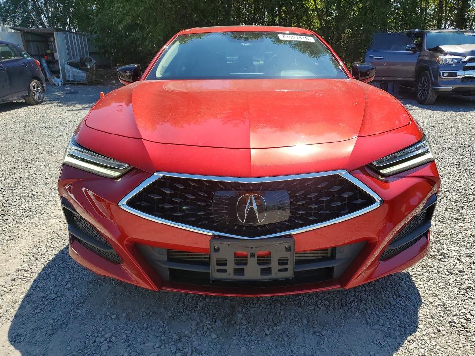 Продаж на аукціоні авто 2021 Acura Tlx, vin: 19UUB5F35MA015959, номер лоту: 61807876