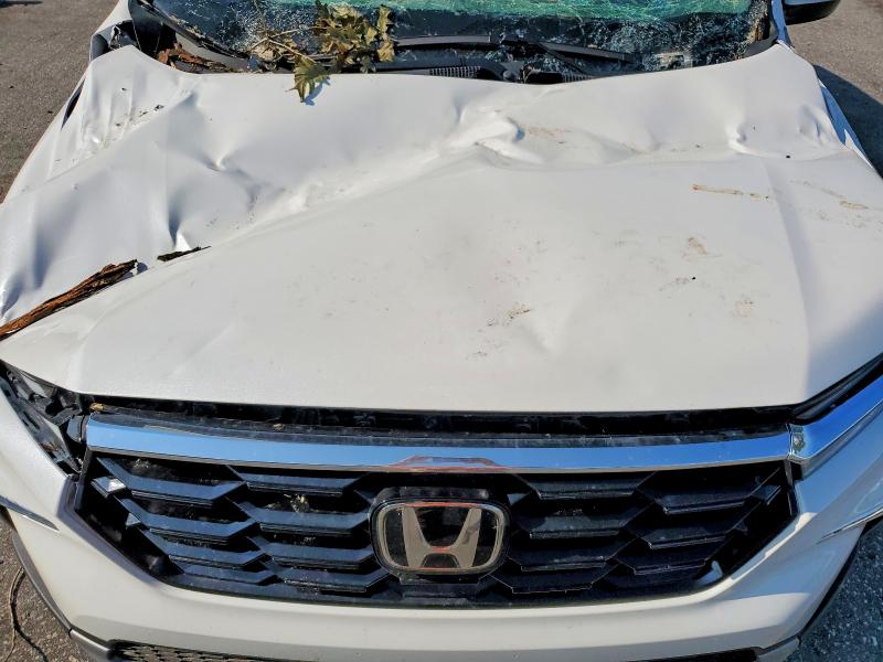 Aukcja sprzedaży 2025 Honda Pilot, vin: 5FNYG2H79SB039881, numer aukcji: 62964546