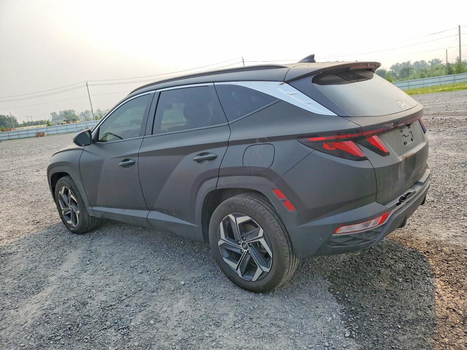 60141086 :رقم المزاد ، KM8JBCDE1RU324971 vin ، 2024 Hyundai Tucson مزاد بيع