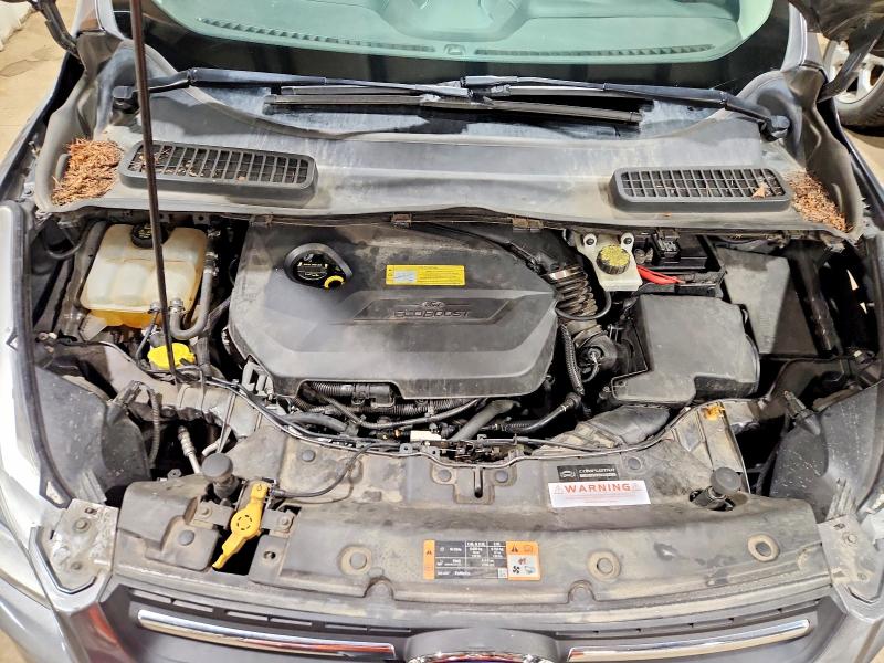 2014 Ford Escape მანქანა იყიდება აუქციონზე, vin: 1FMCU9GX0EUC00008, აუქციონის ნომერი: 61716996