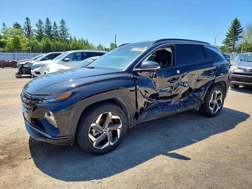 Auction sale of the 2023 Hyundai Tucson, vin: KM8JCCA13PU132219, lot number: 61349386