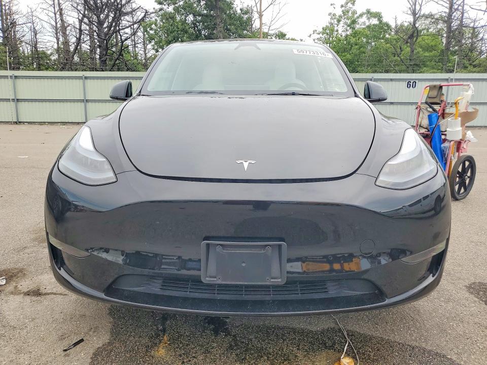 Продаж на аукціоні авто 2025 Tesla Model Y, vin: 7SAYGDEE1SF297118, номер лоту: 59773316