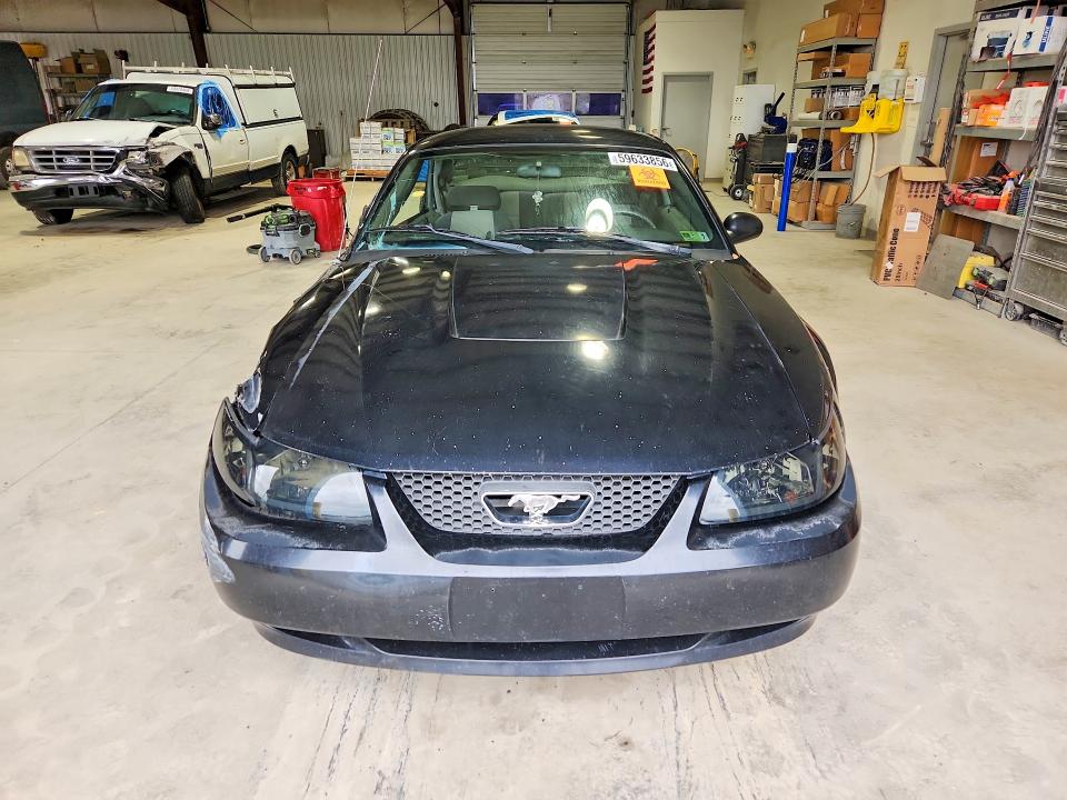 59633856 :رقم المزاد ، 1FAFP40664F214243 vin ، 2004 Ford Mustang مزاد بيع