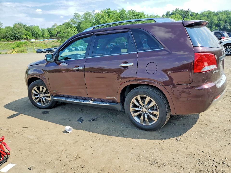 Продаж на аукціоні авто 2013 Kia Sorento, vin: 5XYKWDA22DG336683, номер лоту: 60022786