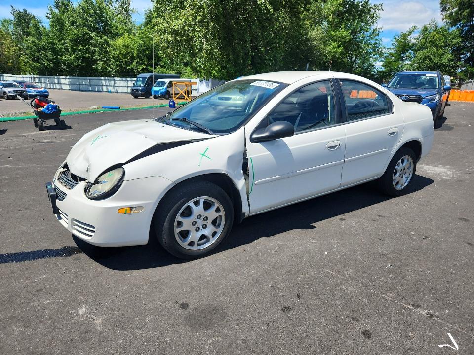 Продажа на аукционе авто 2003 Dodge Neon, vin: 1B3ES56CX3D257311, номер лота: 60372106
